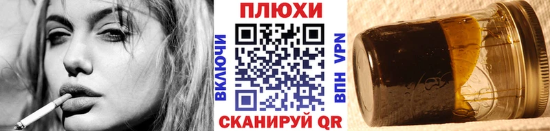 блэк спрут ссылки  хочу   Ардон  ГАШ гарик 