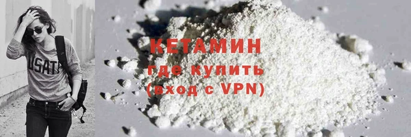 шишки Абаза