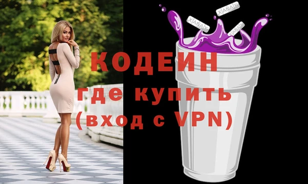 шишки Абаза