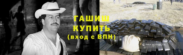 шишки Абаза