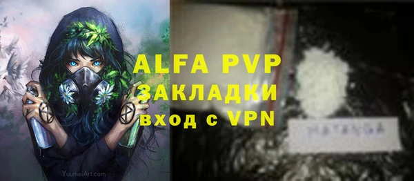 шишки Абаза