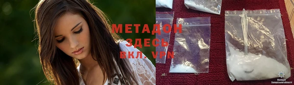 шишки Абаза