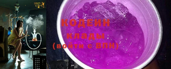 шишки Абаза